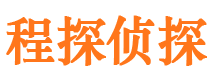 龙湾市侦探公司